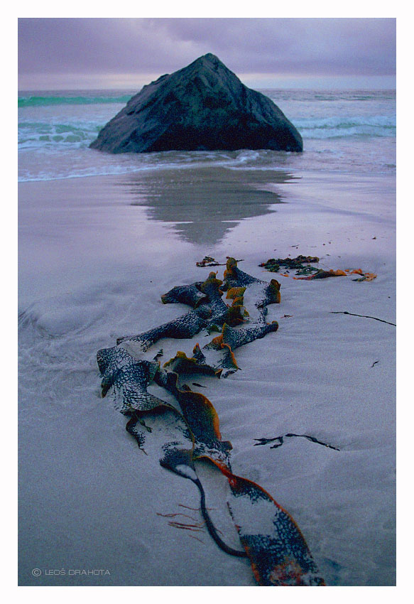 Chaluha na pláži (Norsko 1996) 015S