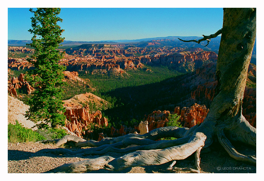 Bryce Canyon (Utah 1997) 026S