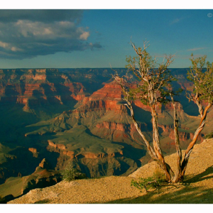 Grand Canyon (Arizona 1997) 035S