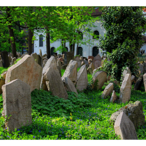 Starý židovský hřbitov (2010) 0477