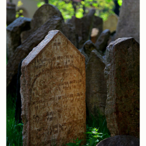 Starý židovský hřbitov (2010) 0483