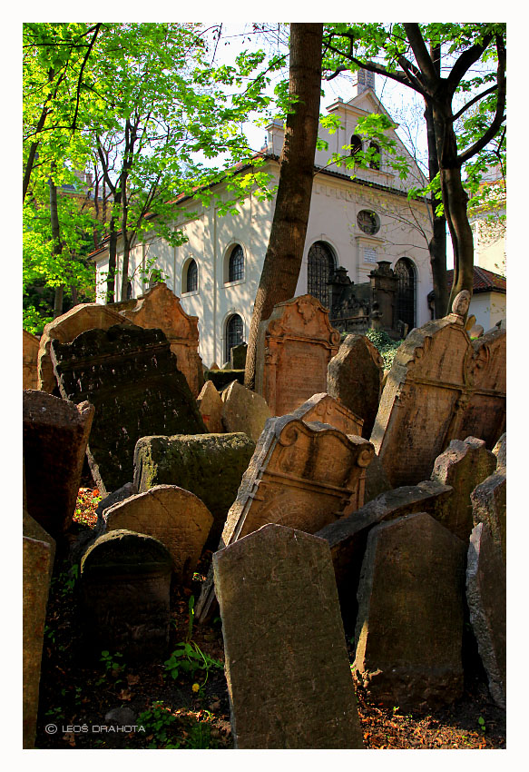Starý židovský hřbitov - Klausová synagoga (2010) 0485