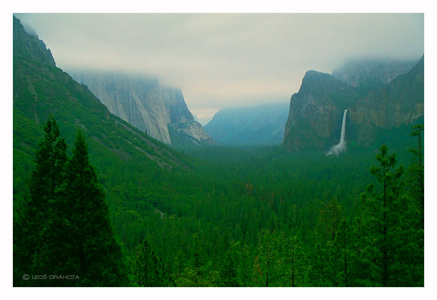 NP Yosemite (California 1998) 050S