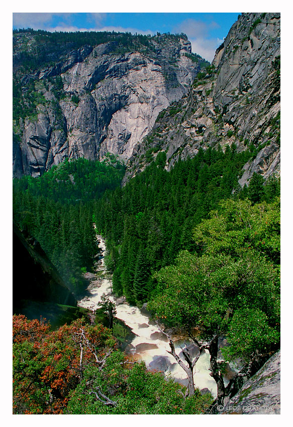 NP Yosemite (California 1998) 050S