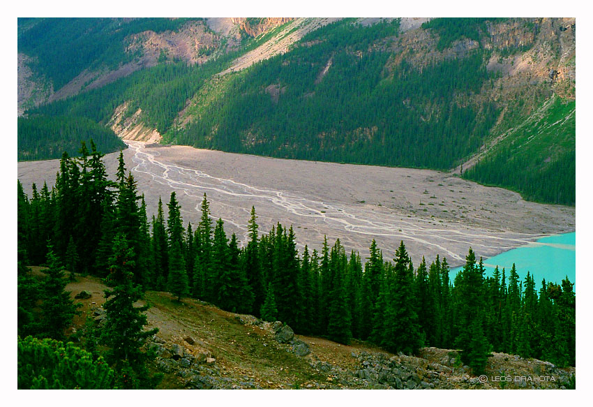 NP Banff (Alberta 1998) 061S