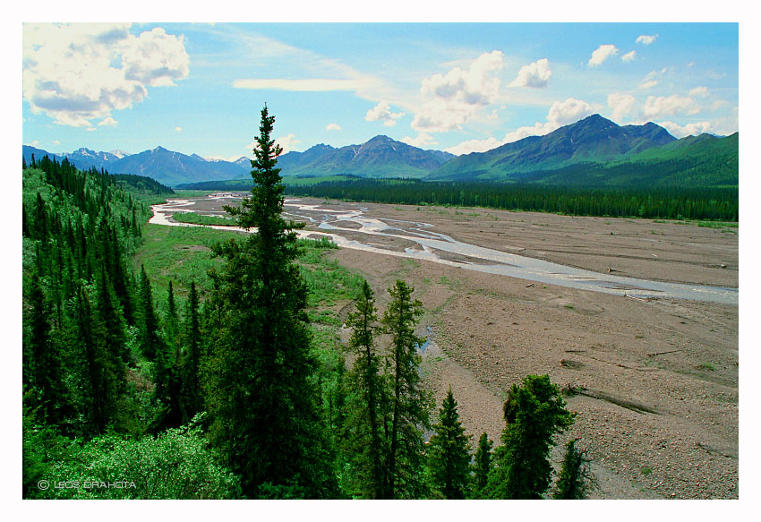 NP Denali (Alaska 1998) 067S