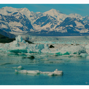 Kenai Fjords (Alaska 1998) 073S