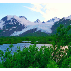 Ledovcový jazyk nad mokřinami (Alaska 1998) 074S