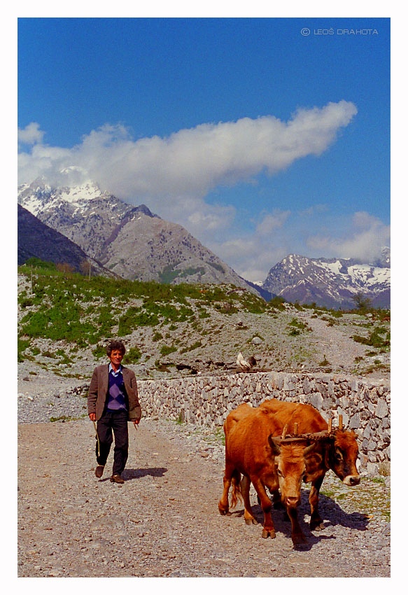 Vesnice v horách na severu (Boga, NP Theth, Albánie 1995) 077S
