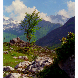 Hory na severu (Boga, NP Theth, Albánie 1995) 078S