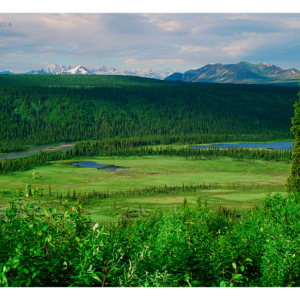 Alaska Range (Alaska 1998) 081S