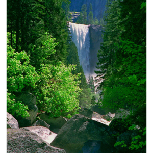 NP Yosemite (California 1998) 083S