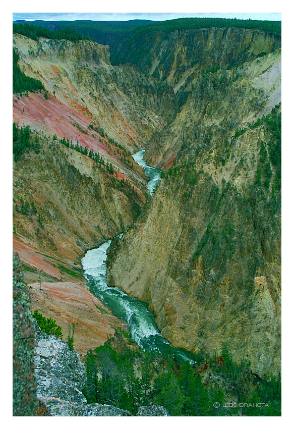 NP Yellowstone (Wyoming 1998) 084S