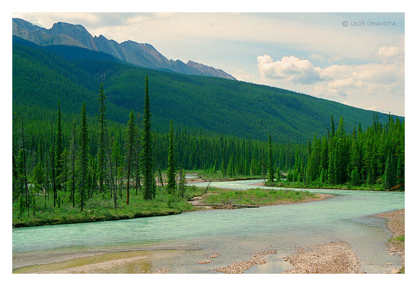 Athabasca River (Alberta 1998) 085S
