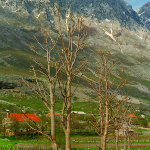 Hory na severu (Boga, NP Theth, Albánie) 1995_k006_0099