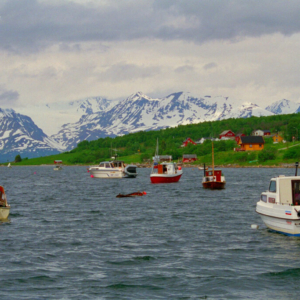 Norsko 1996_k003_0057