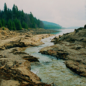 Velký Kamenický potok vtékající do Josefodolské přehradní nádrže (listopad) 2003_n004_0034