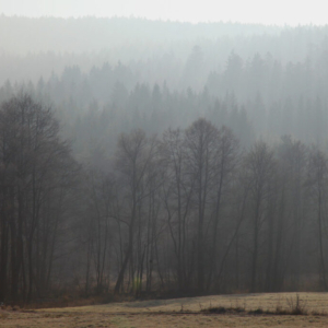 Údolí Spůlky u Čábuze 2011_182_2174 Údolí Spůlky u Čábuze 2011_182_2174