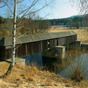 Rechle, Lenora 2012_188_2579 Rechle, Lenora 2012_188_2579