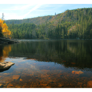 Prášilské jezero 2019_432_3490