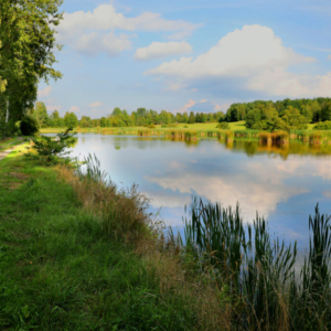Zahájský rybník, Vysočina 2022_514_2557