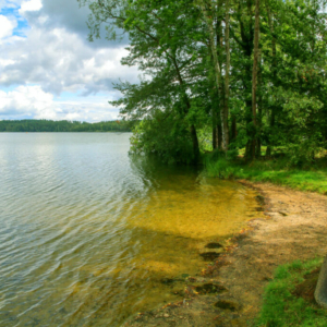 Třeboňsko 2025_554_0734 Třeboňsko 2025_554_0734