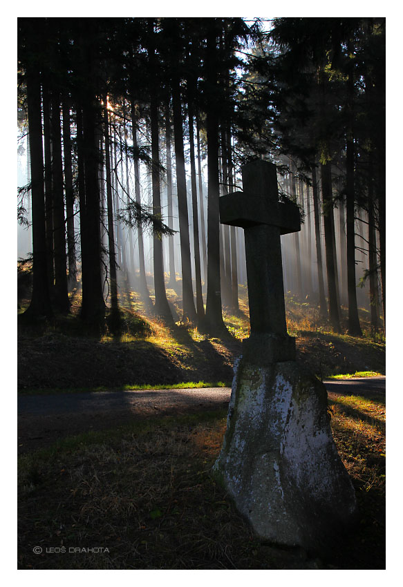 Kříž v lese u Zuklína 2011_182_2210