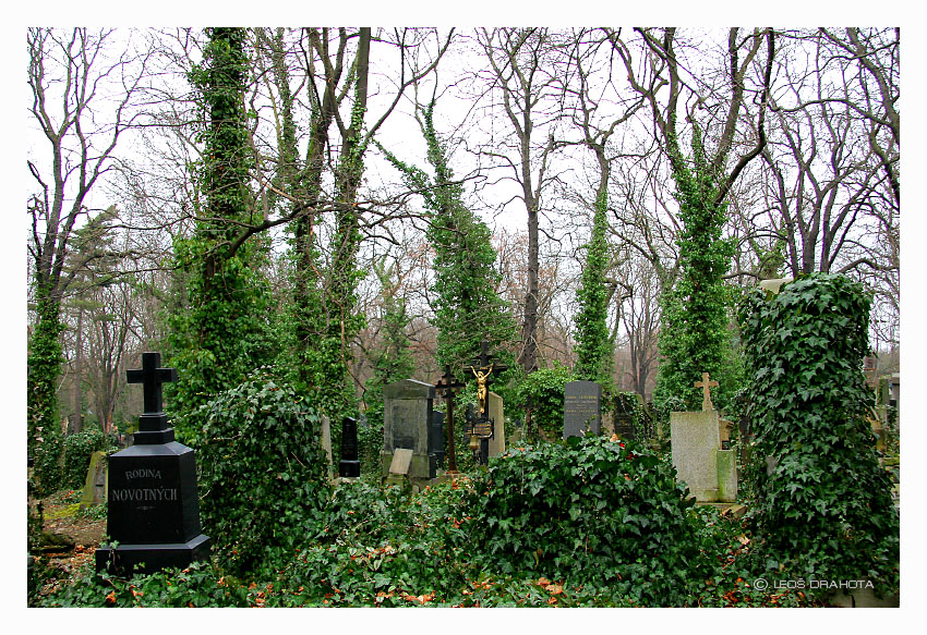 Olšanské hřbitovy - město mrtvých (2009) 6657