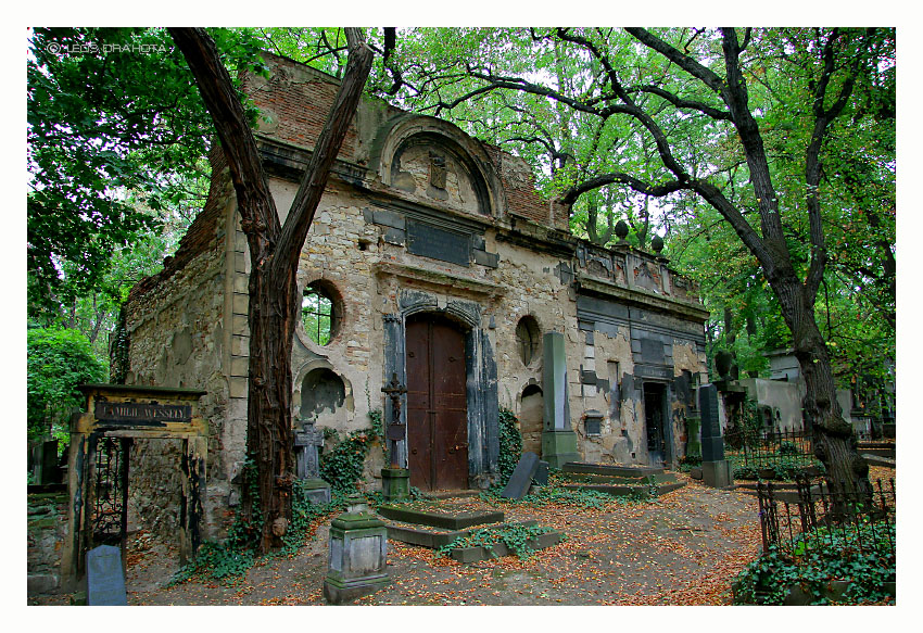 Olšanské hřbitovy - město mrtvých (2009) 7849