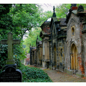 Olšanské hřbitovy - město mrtvých (2009) 7852