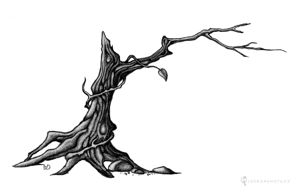 Umírající strom