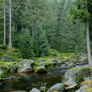 Jizera pod Velkou Jizerou (listopad) 2025_558_3283