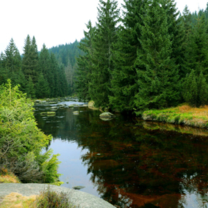 Jizera v jižním cípu Velké Jizery (listopad) 2025_558_3288