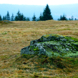 Velká Jizera (listopad) 2025_558_3293