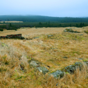 Připomínky starého osídlení Velké Jizery (listopad) 2025_558_3304