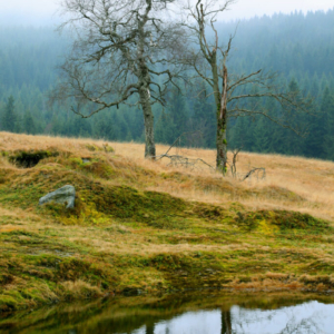 Velká Jizera (listopad) 2025_558_3310