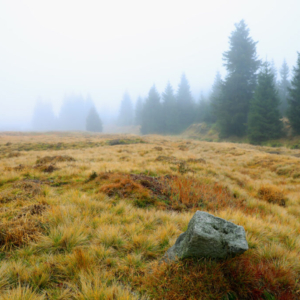 Jizerka (listopad) 2025_558_3384