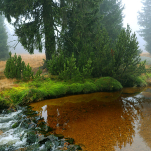 Jizerka (listopad) 2025_558_3389