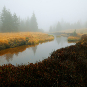 Jizerka (listopad) 2025_558_3398