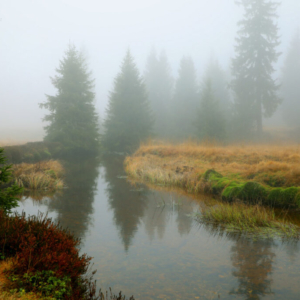 Jizerka (listopad) 2025_558_3401