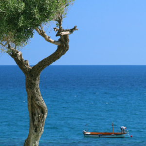 Rybář, Ischia 2022_507_7888