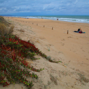 Platja la Devesa, Golfo de Valencia 2024_539_9680