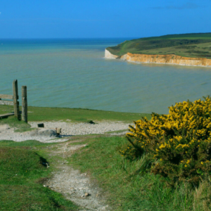 Cuckmere Haven, Seven Sisters Country Park 2025_550_0539