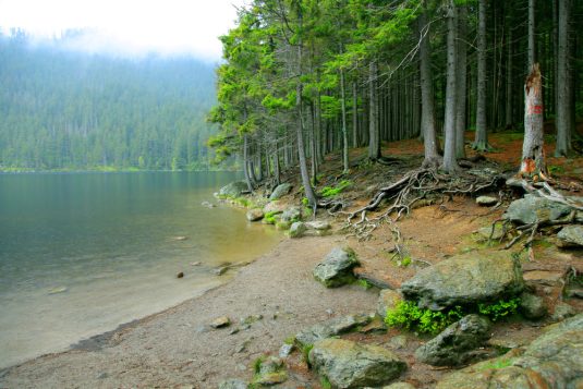 sumava02